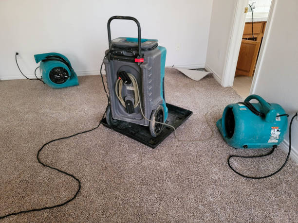 Best 24/7 water damage repair  in Jamestown, OH