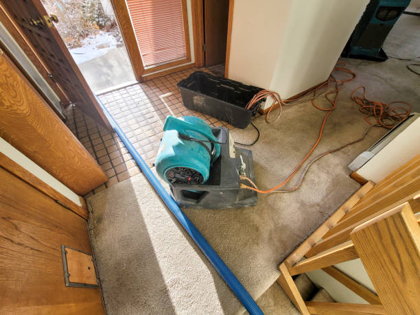 Best Flood damage cleanup  in Jamestown, OH