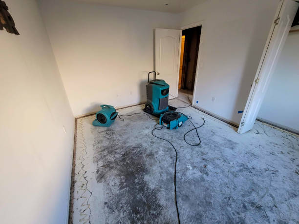 Best Water damage restoration near me  in Jamestown, OH