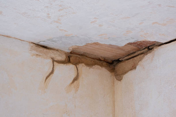 Best Water damage restoration company  in Jamestown, OH